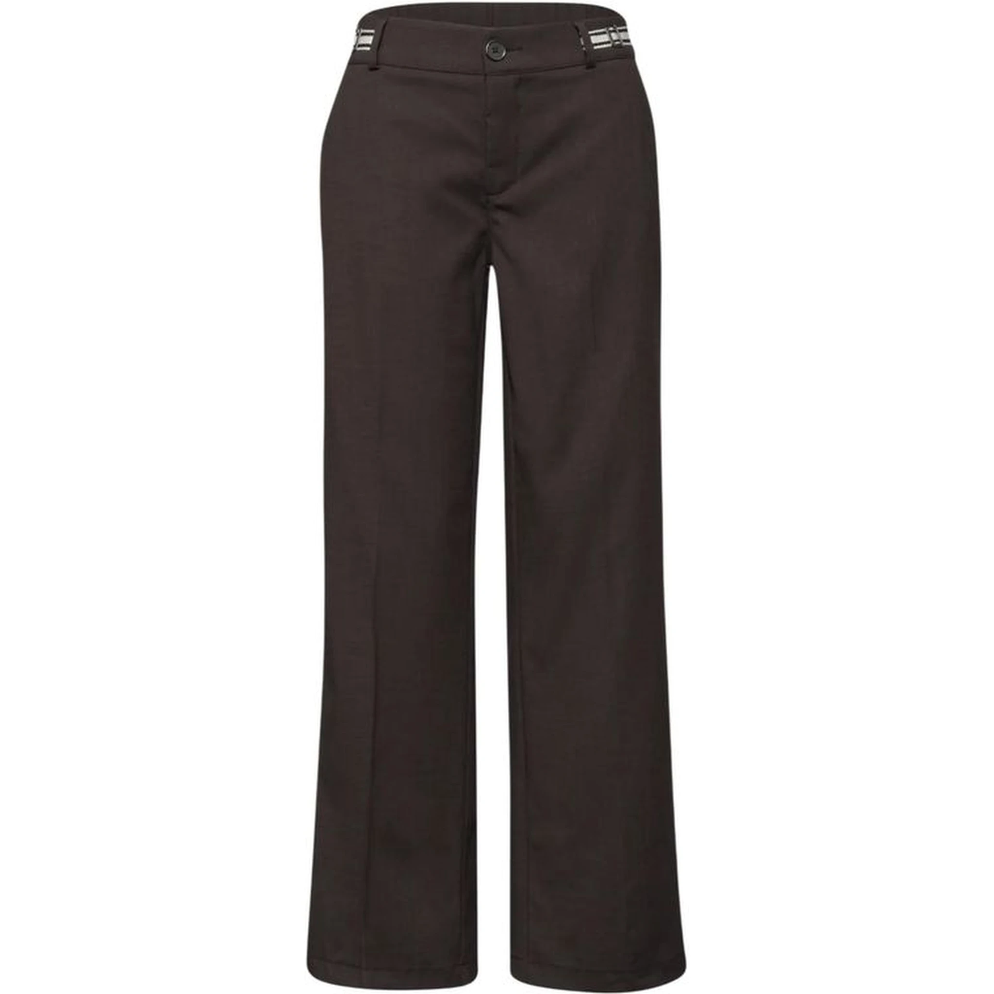Brown Viscose Casual Pants