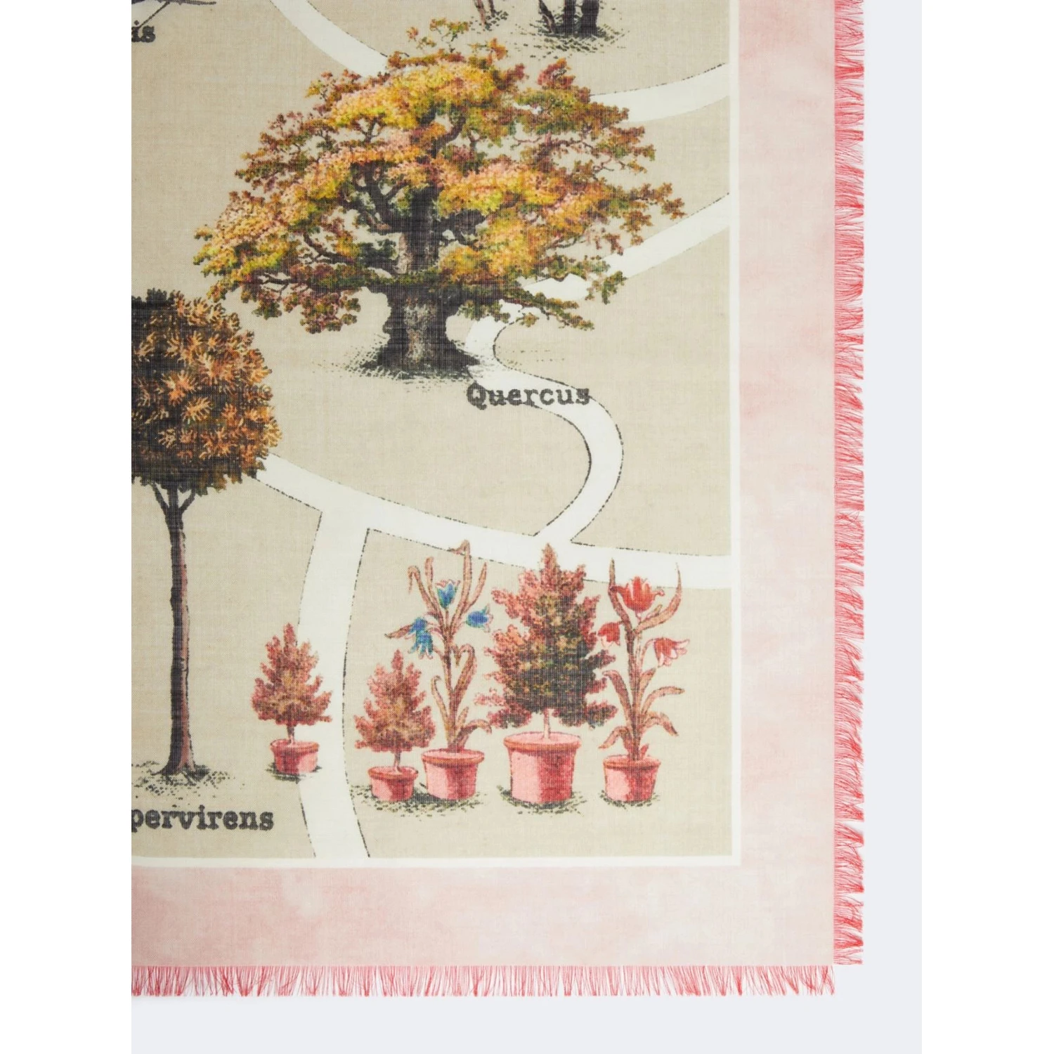 MAX MARA MXACAMICE scarf