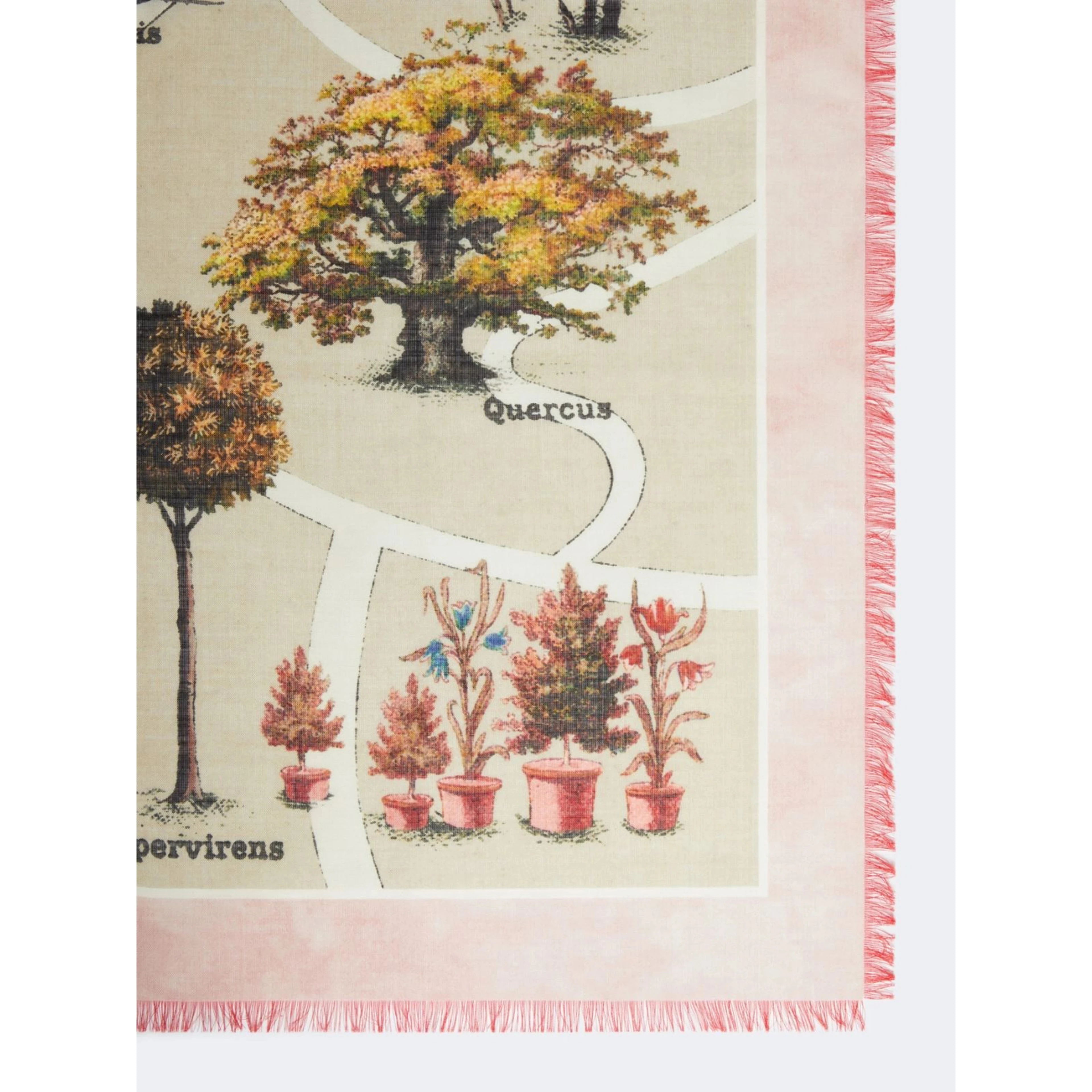 MAX MARA MXACAMICE scarf