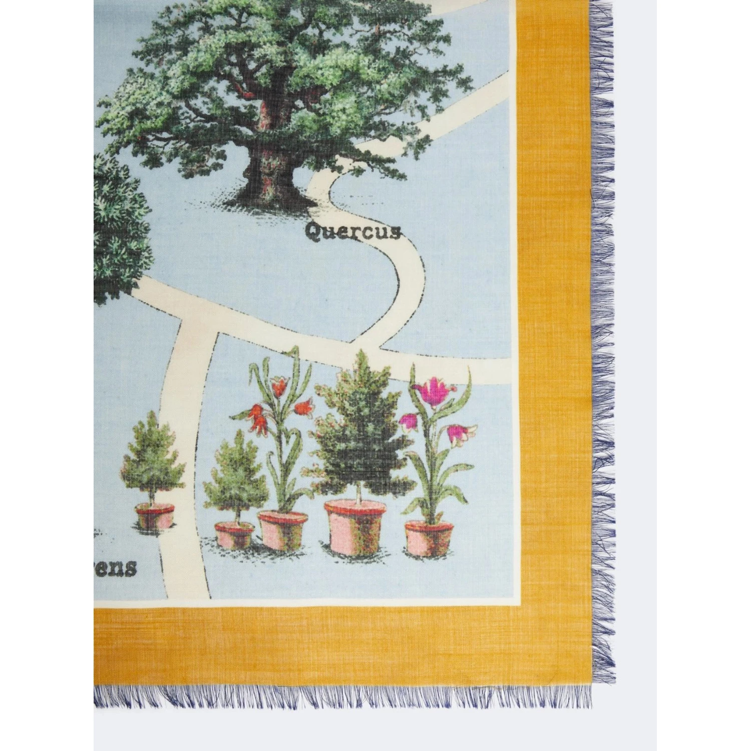 MAX MARA MXACAMICE scarf