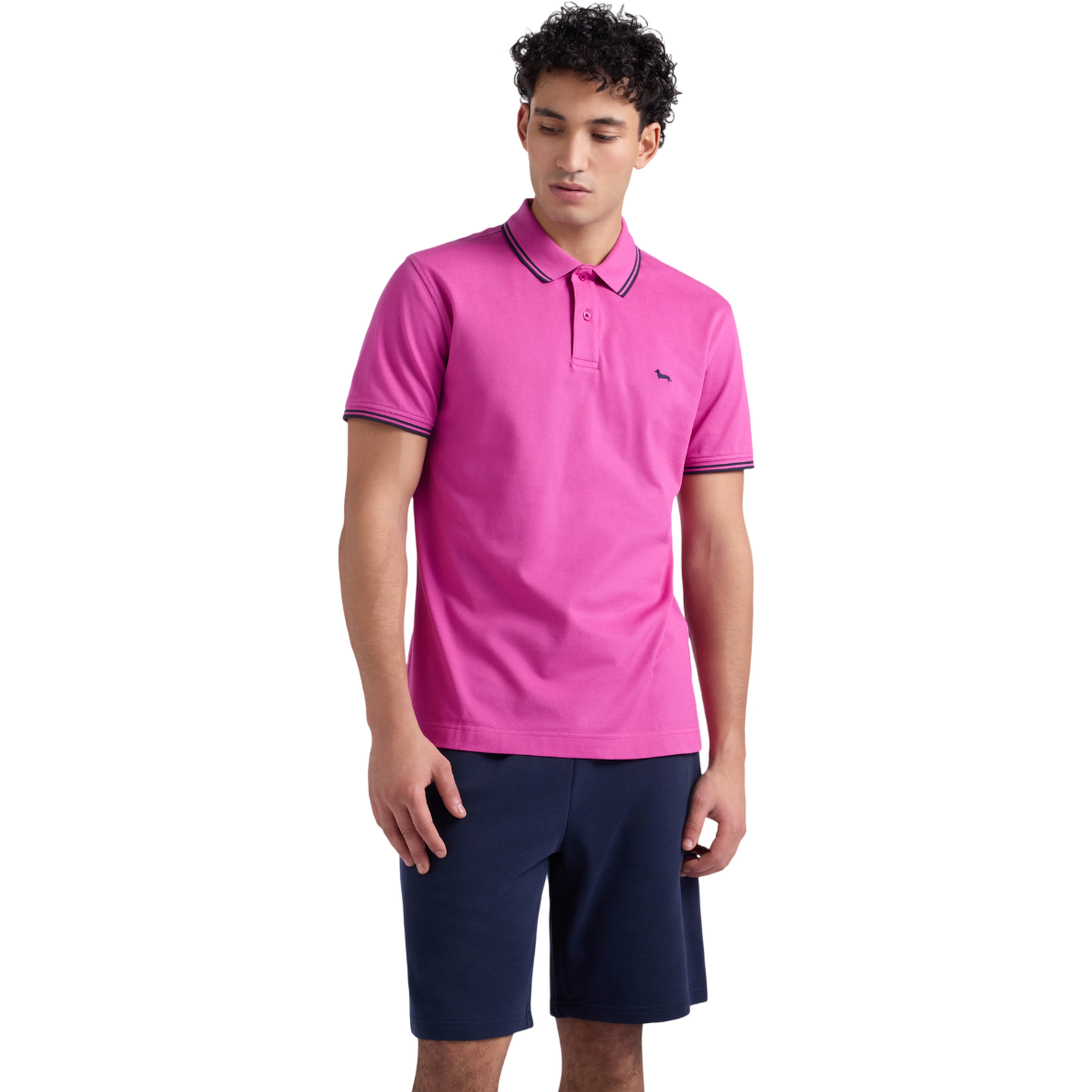 Harmont & Blaine T-shirts and Polos Purple