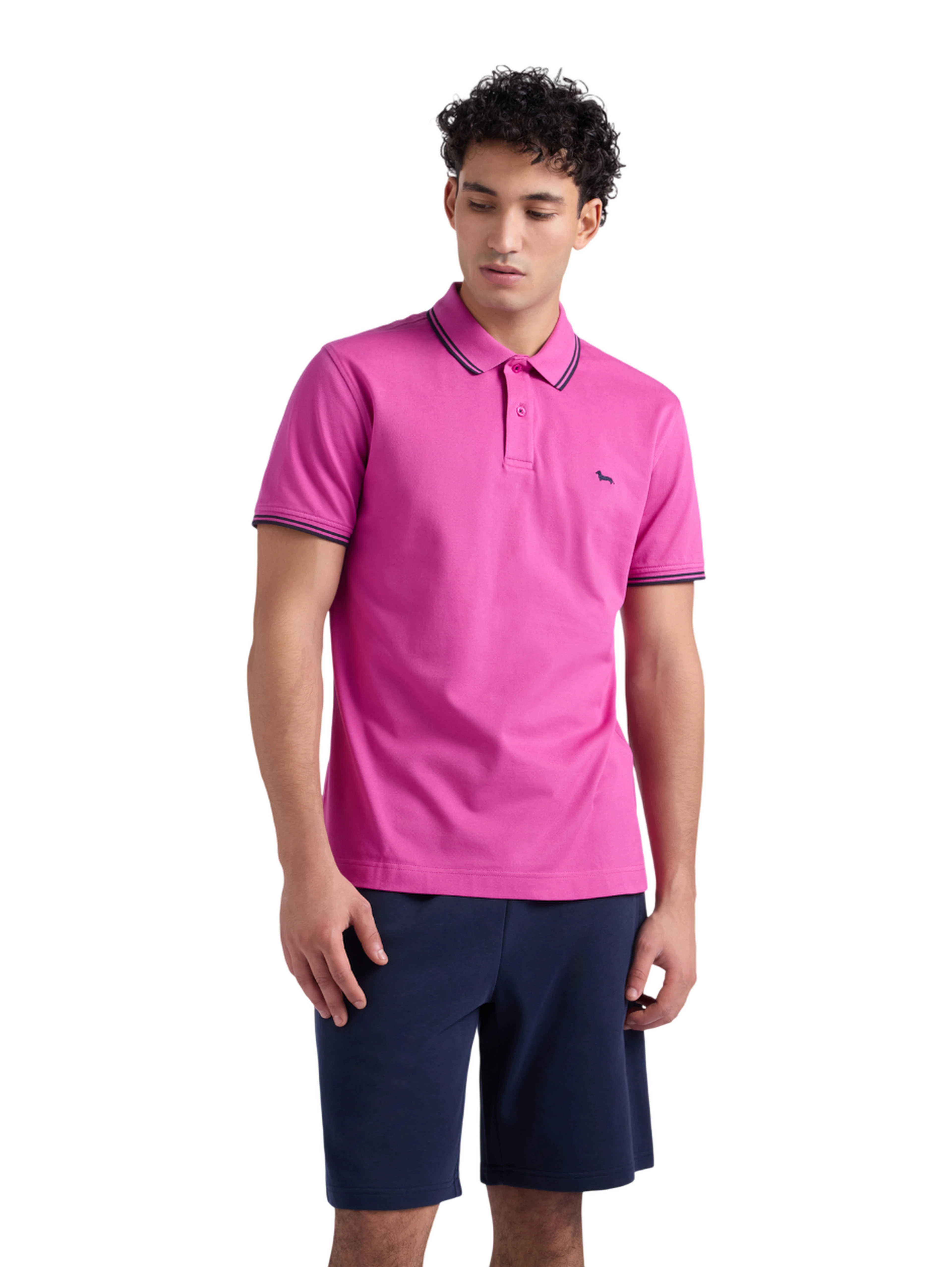 Harmont & Blaine T-shirts and Polos Purple