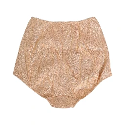 Beige Silk Blend High Waist Girdle Panty Underwear