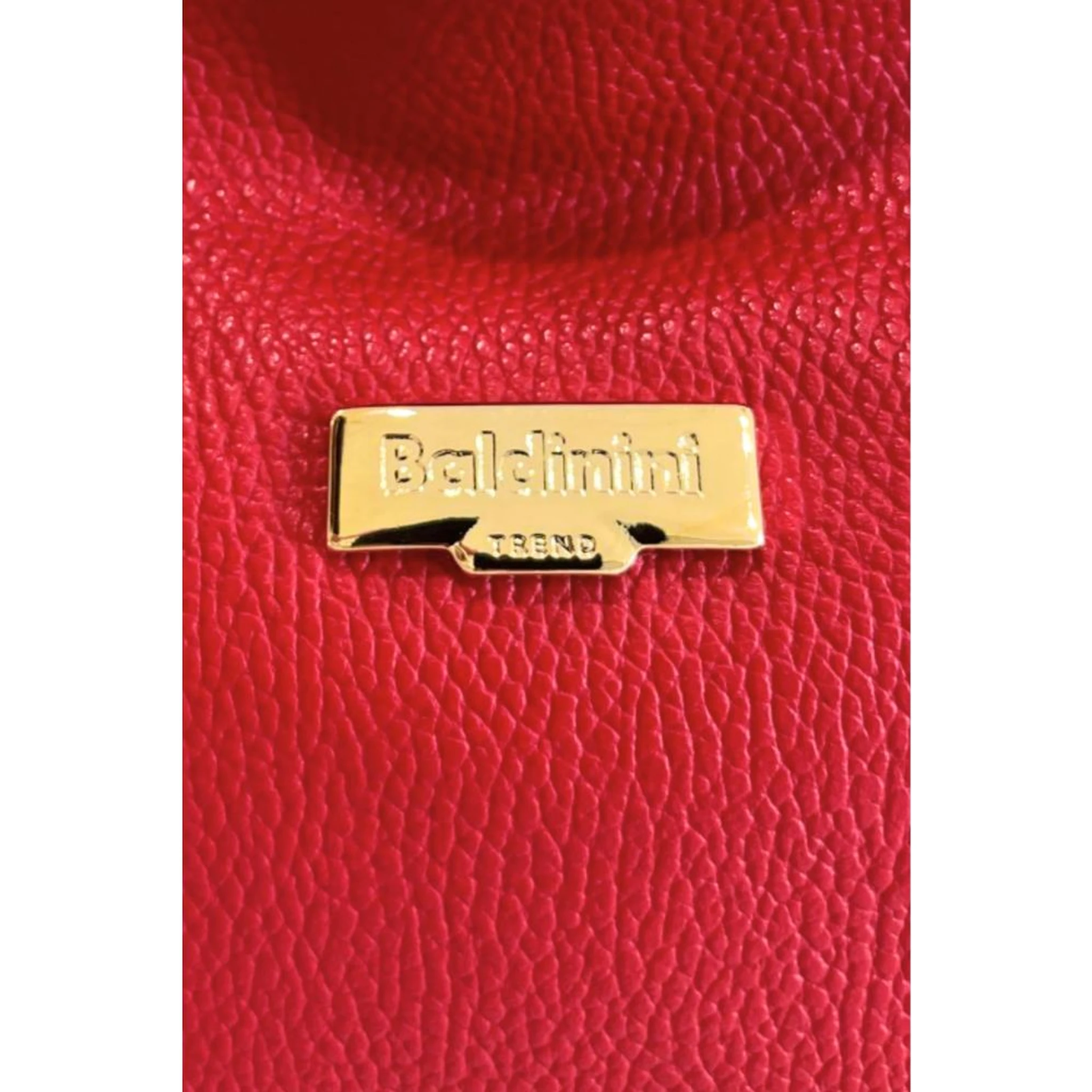 Multicolor Cowhide Clutch Bag