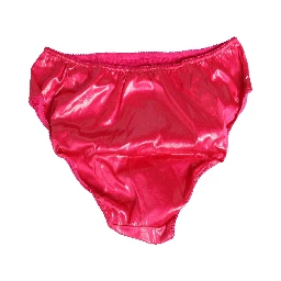 Pink Silk Satin Slip Girdle Panty Underwear