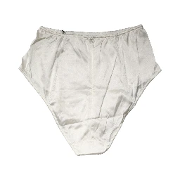 White Silk Blend High Waist Girdle Panty Underwear