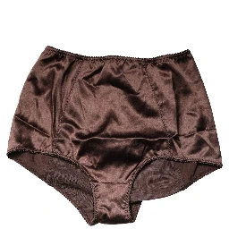 Brown Silk Blend High Waist Girdle Panty Underwear