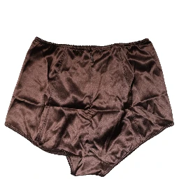 Brown Silk Blend High Waist Girdle Panty Underwear