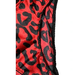 Black Red Leopard Mid Waist Brief Panty Underwear