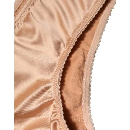 Beige Silk Stretch Mid Waist Brief Panty Underwear