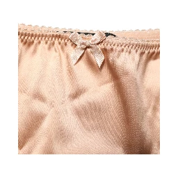 Beige Silk Stretch Mid Waist Brief Panty Underwear