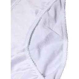 White Silk Stretch Mid Waist Brief Panty Underwear