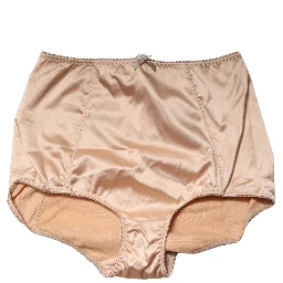 Beige Silk Blend High Waist Girdle Panty Underwear