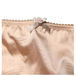 Beige Silk Blend High Waist Girdle Panty Underwear