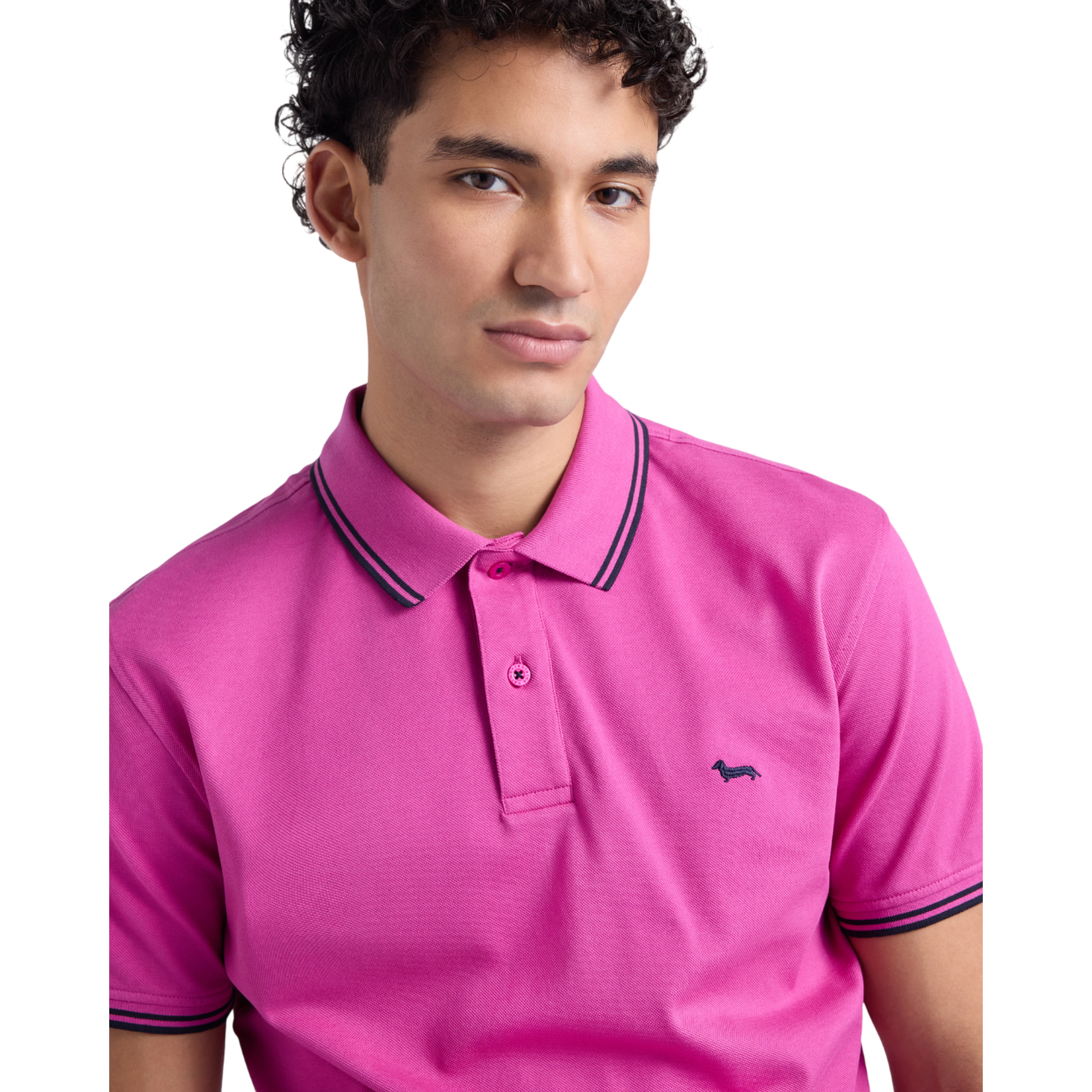 Harmont & Blaine T-shirts and Polos Purple