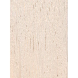 Elisabetta Franchi Dresses Beige