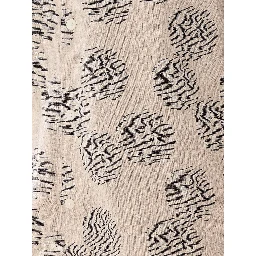 NN.07 Shirts Beige