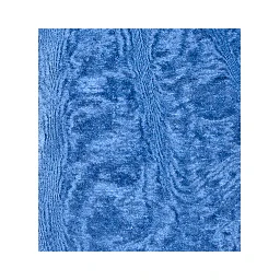 NOT SHY T-shirts and Polos