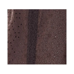 Twin-set Shirts Brown