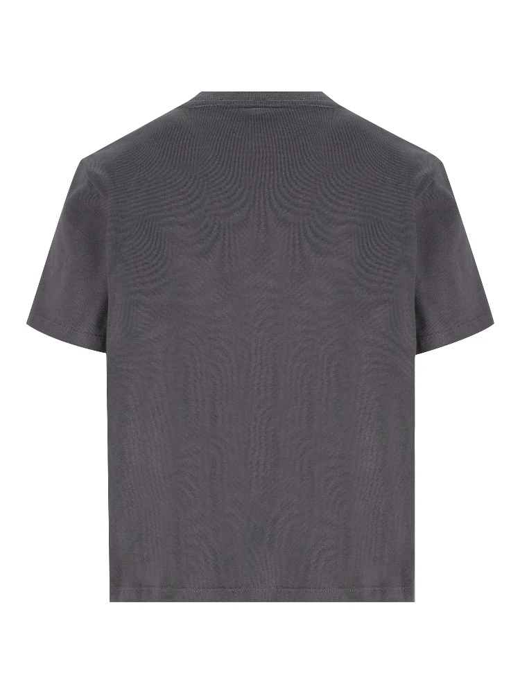 THE NORTH FACE T-shirts and Polos Grey alternative