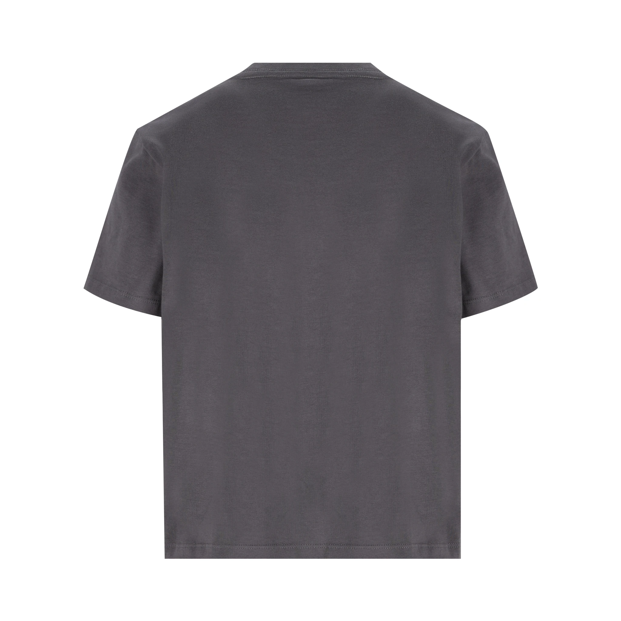 THE NORTH FACE T-shirts and Polos Grey