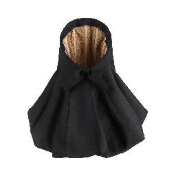 Balenciaga Dresses Black