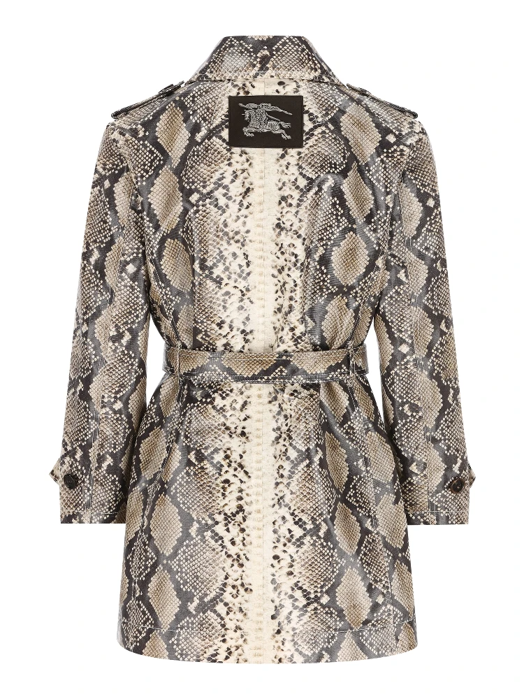 معطف بربري بيج alternative