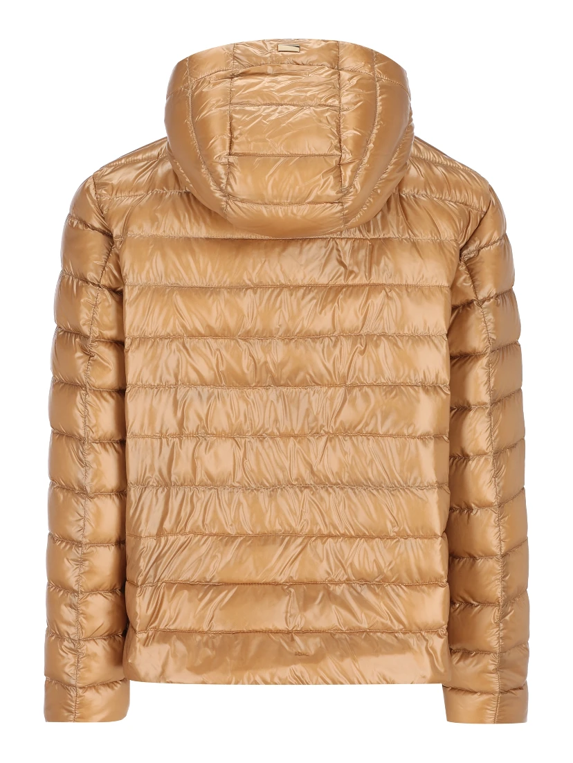 هيرنو كوتس براون