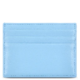 Céline Wallets Blue