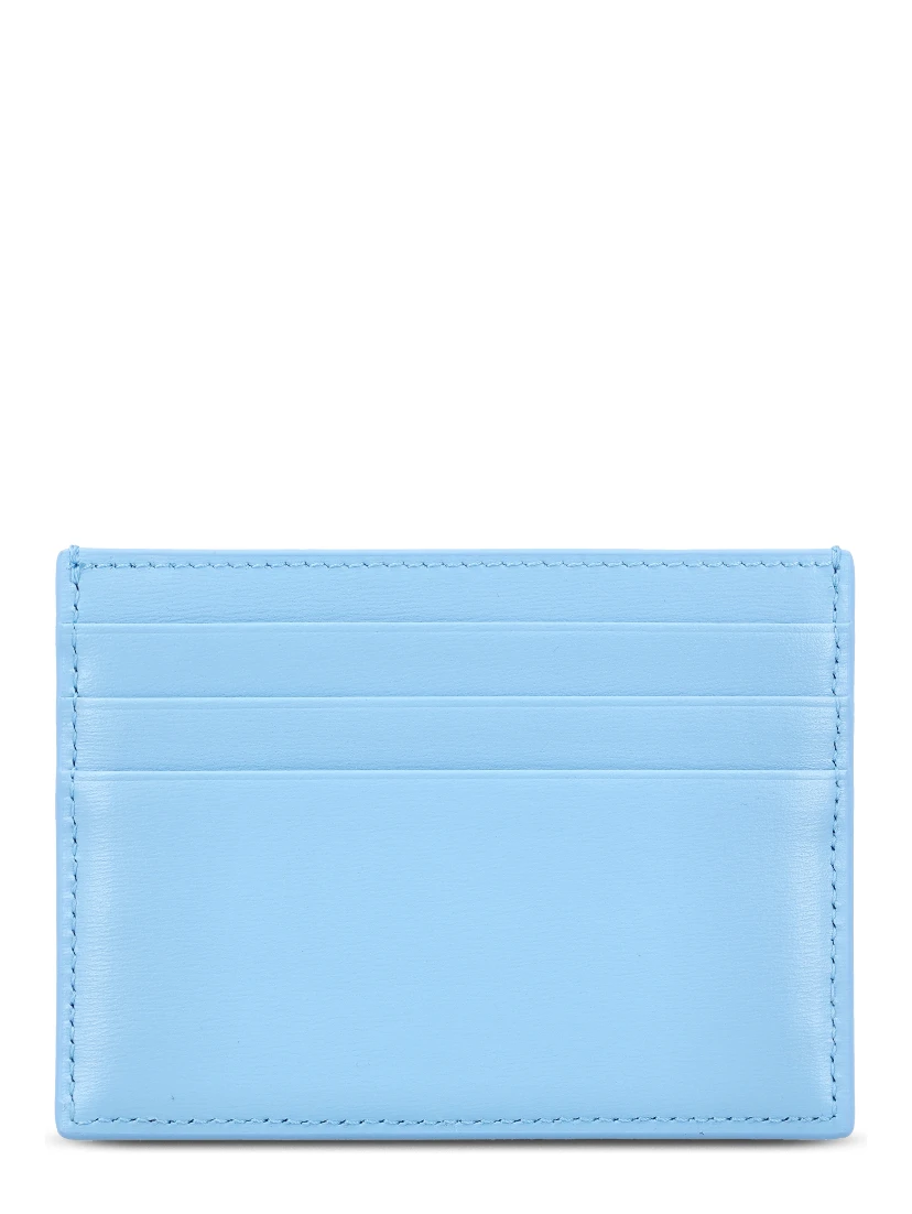 Céline Wallets Blue