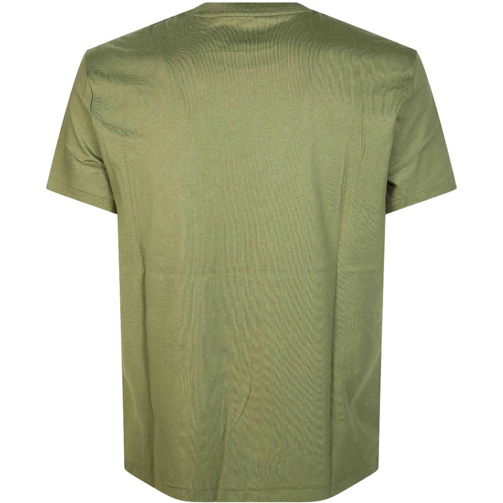 Polo Ralph Lauren T-shirts and Polos Green