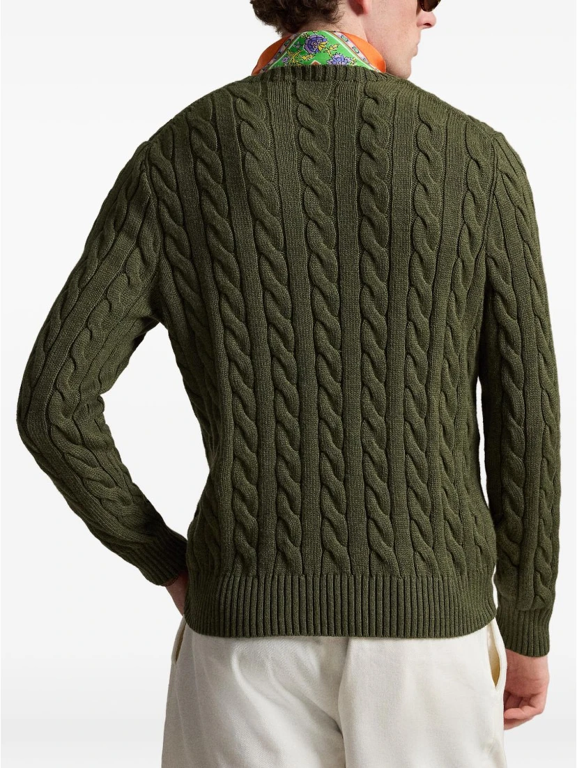 Polo Ralph Lauren Sweaters Green