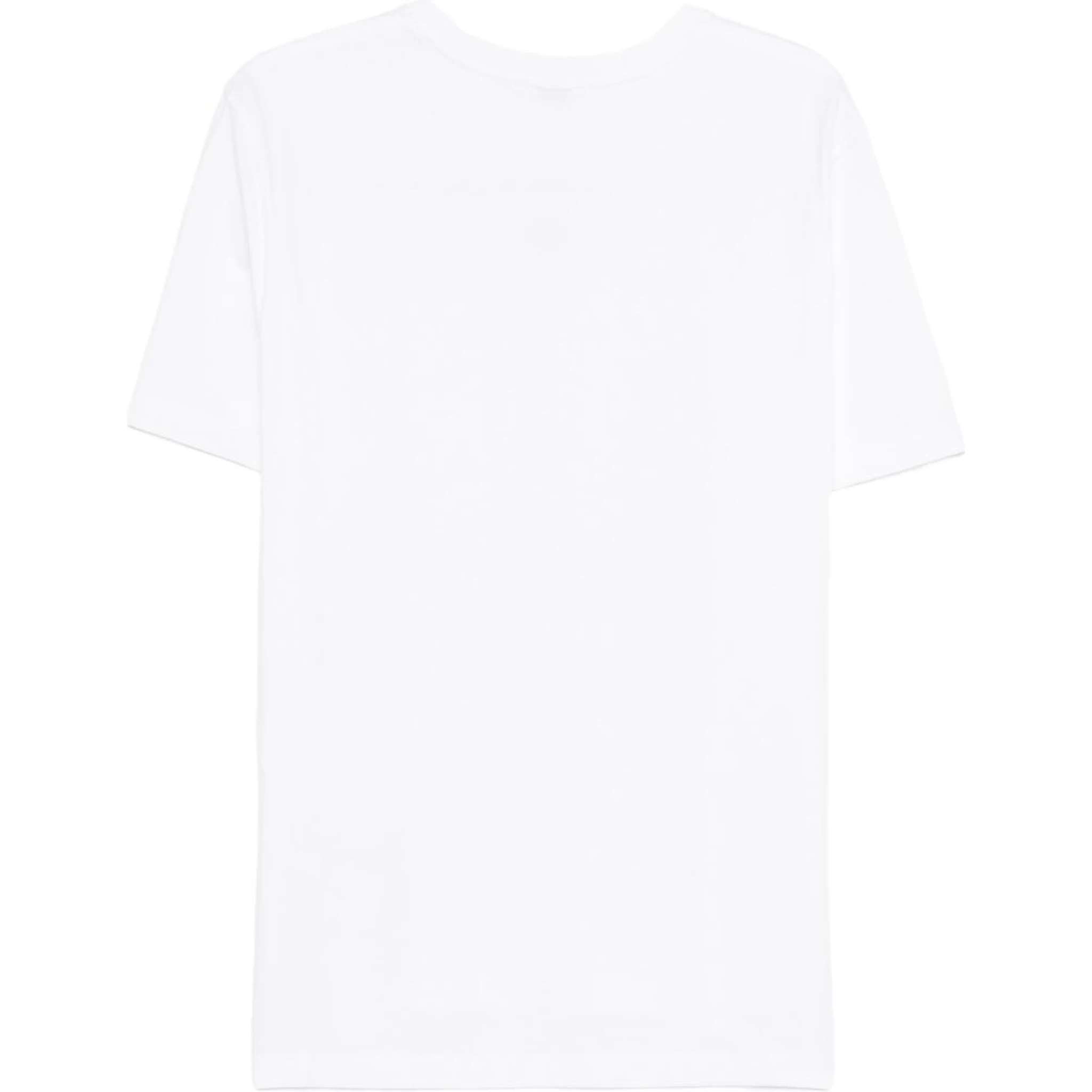 THE NORTH FACE T-shirts and Polos White
