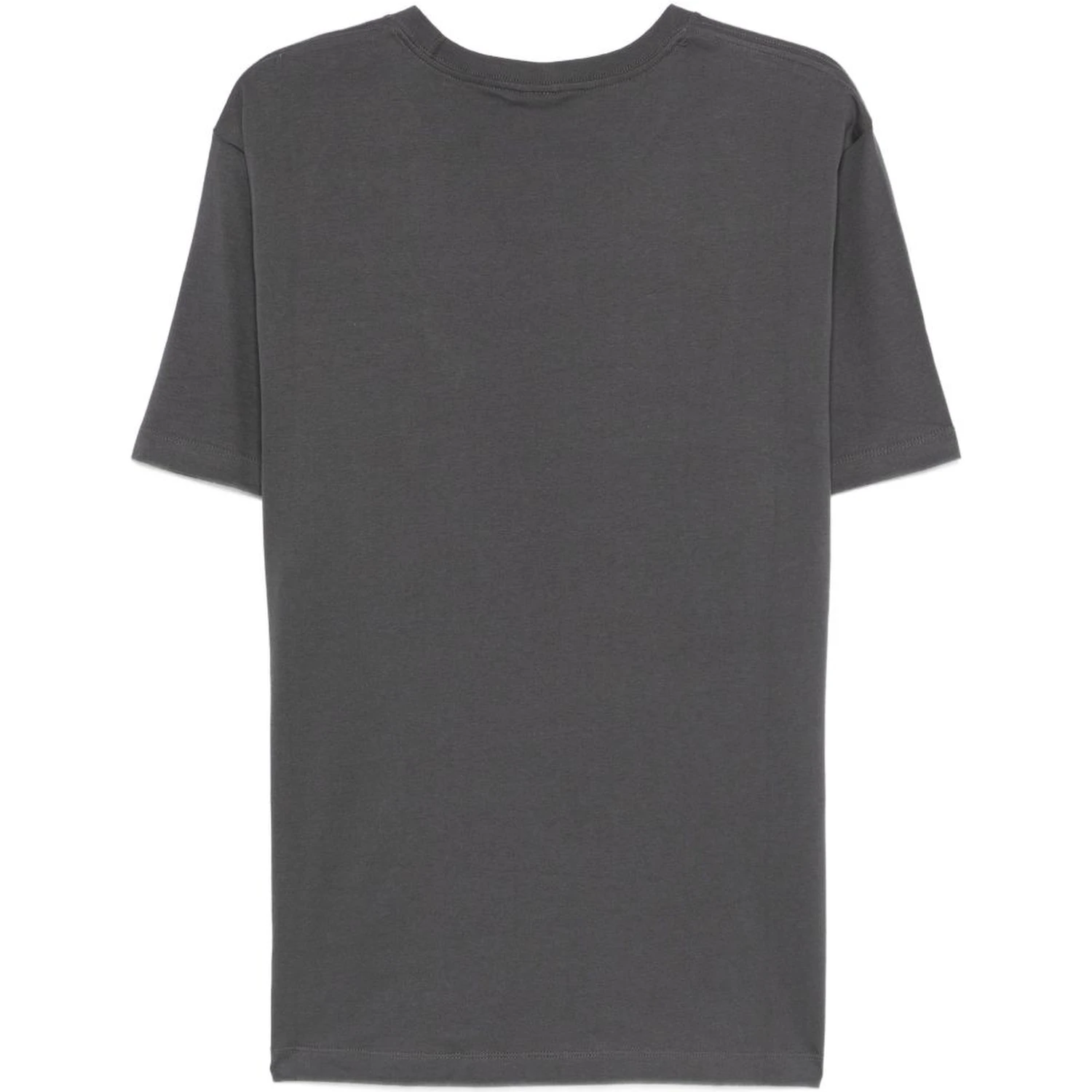 THE NORTH FACE T-shirts and Polos Grey
