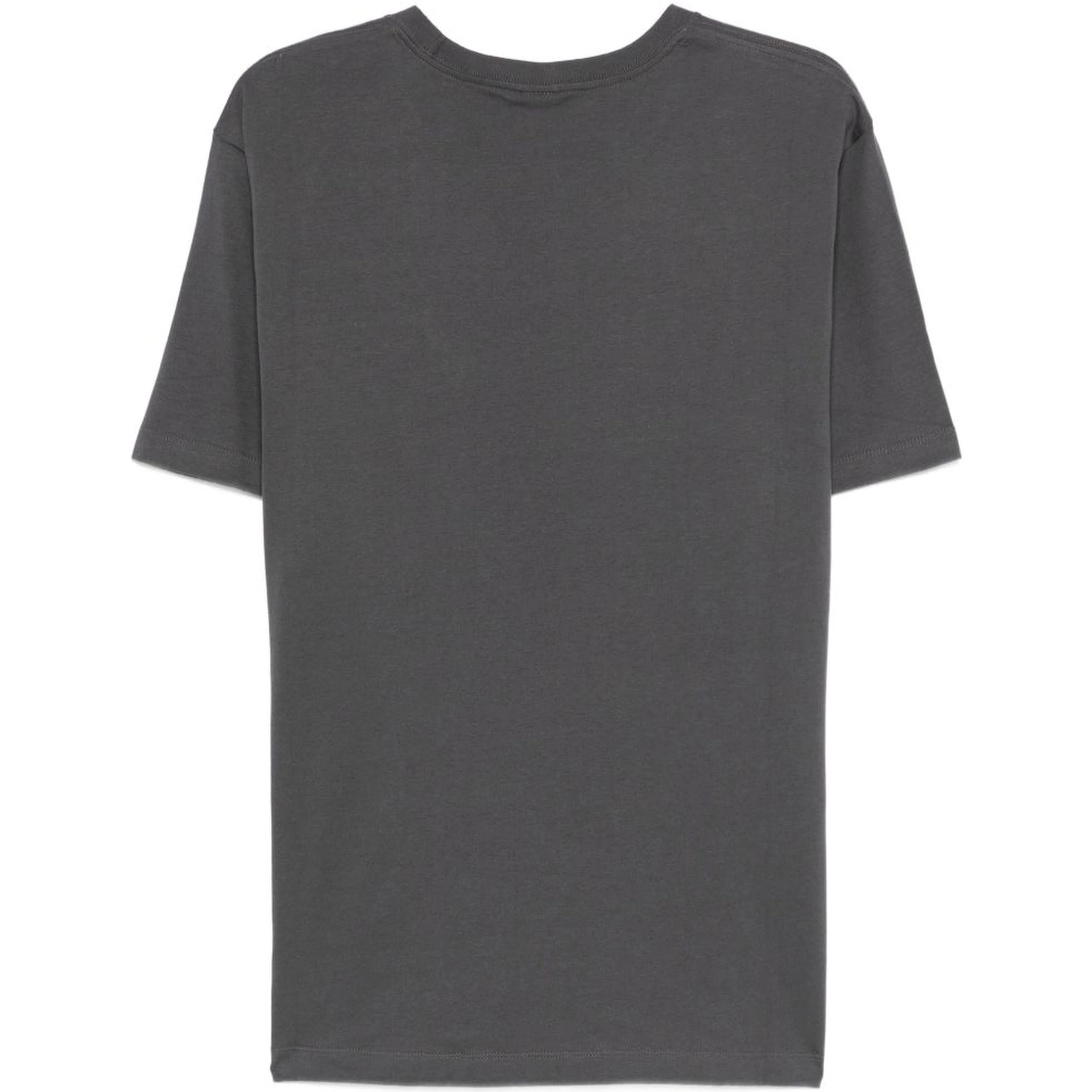 THE NORTH FACE T-shirts and Polos Grey