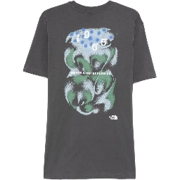 THE NORTH FACE T-shirts and Polos Grey