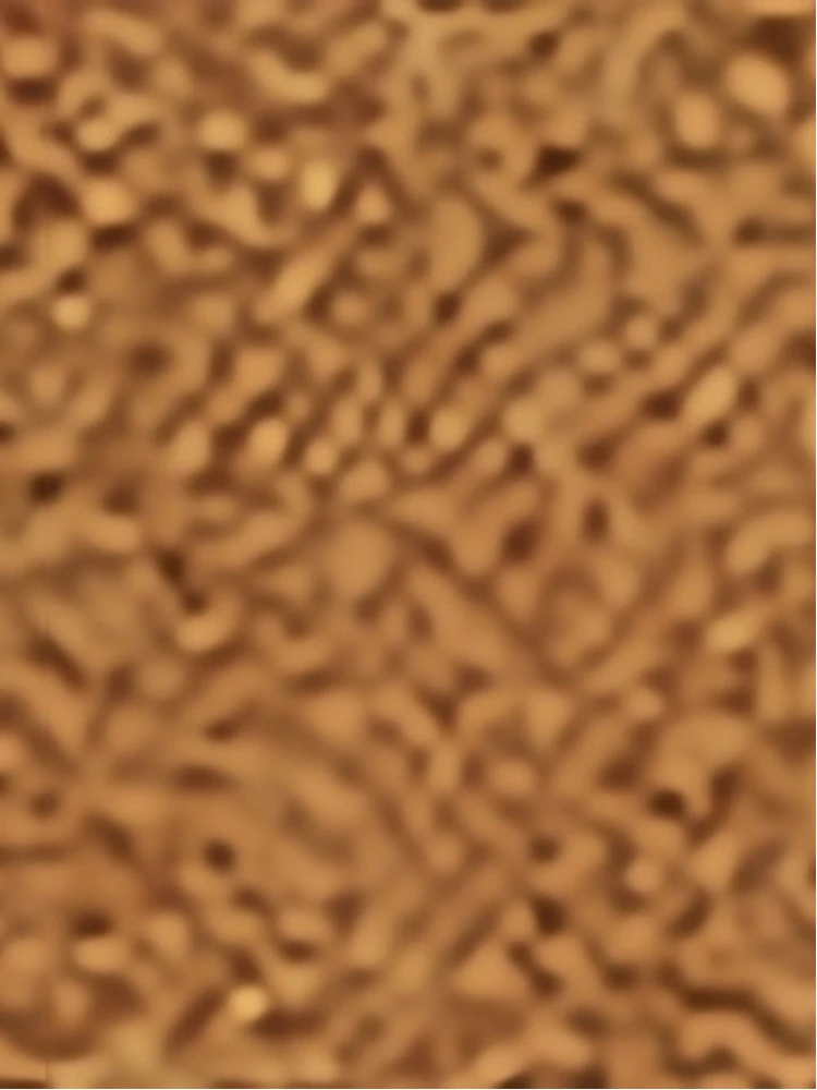 Stella McCartney Bags.. Bordeaux alternative