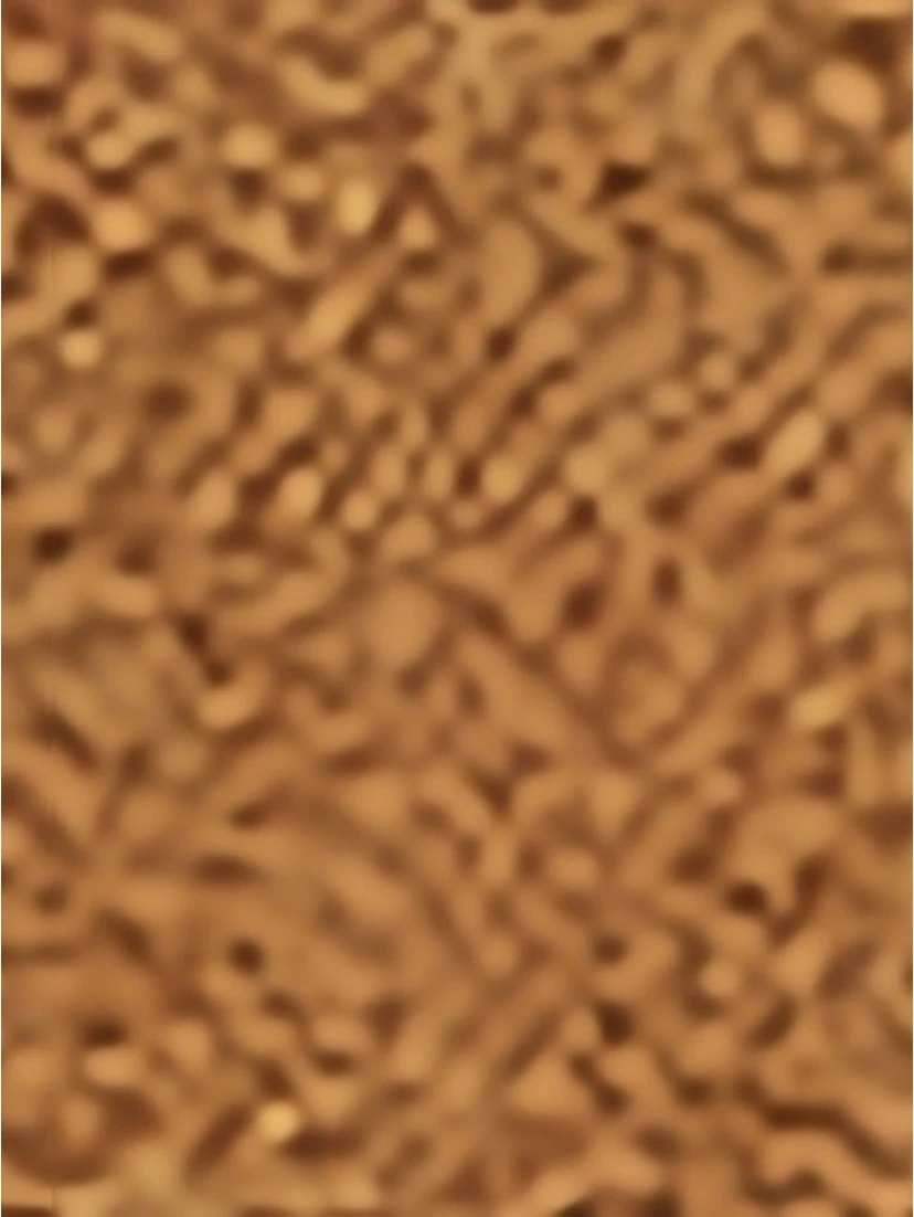 Stella McCartney Bags.. Bordeaux