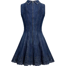 صورة ذاتية، فساتين زرقاء