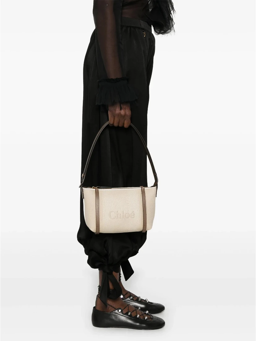 حقائب كلوي.. بيج