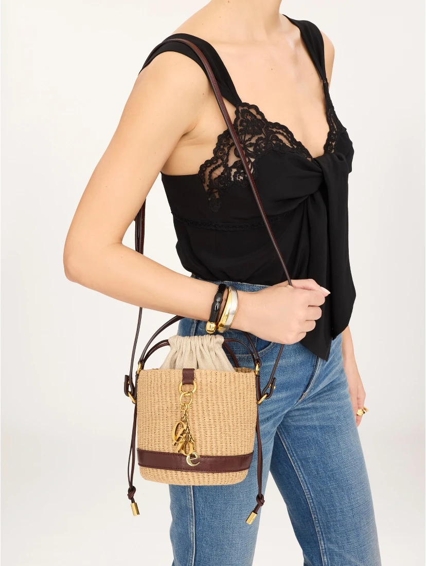 حقائب كلوي.. بيج