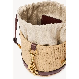 حقائب كلوي.. بيج