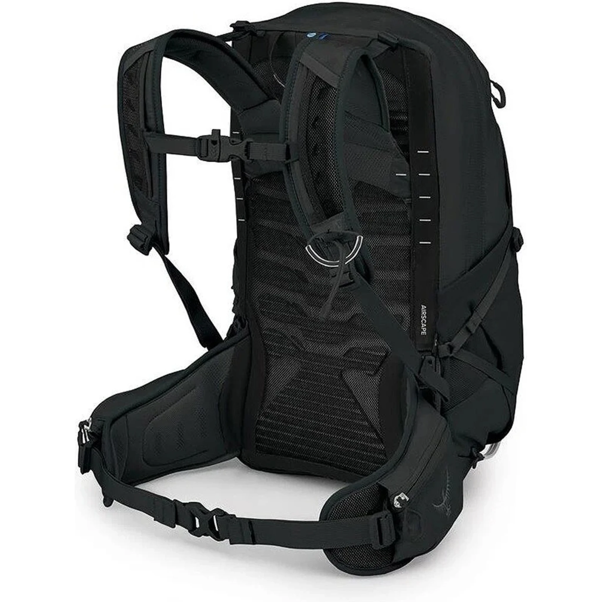 ZAINO “TEMPEST 22”