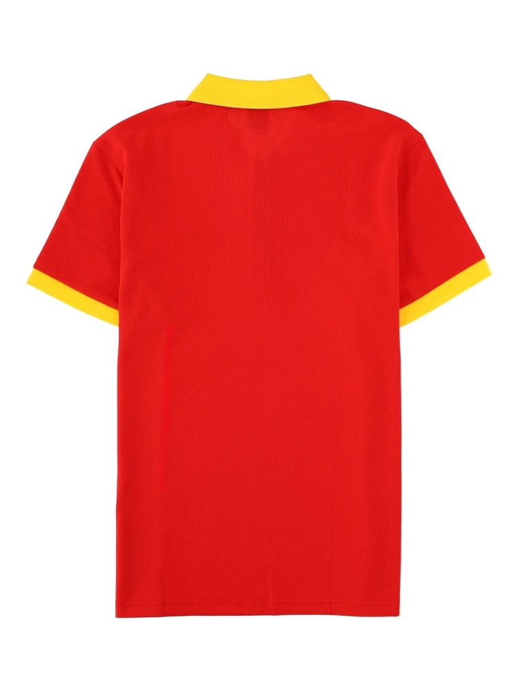 POLO "PADDY" alternative