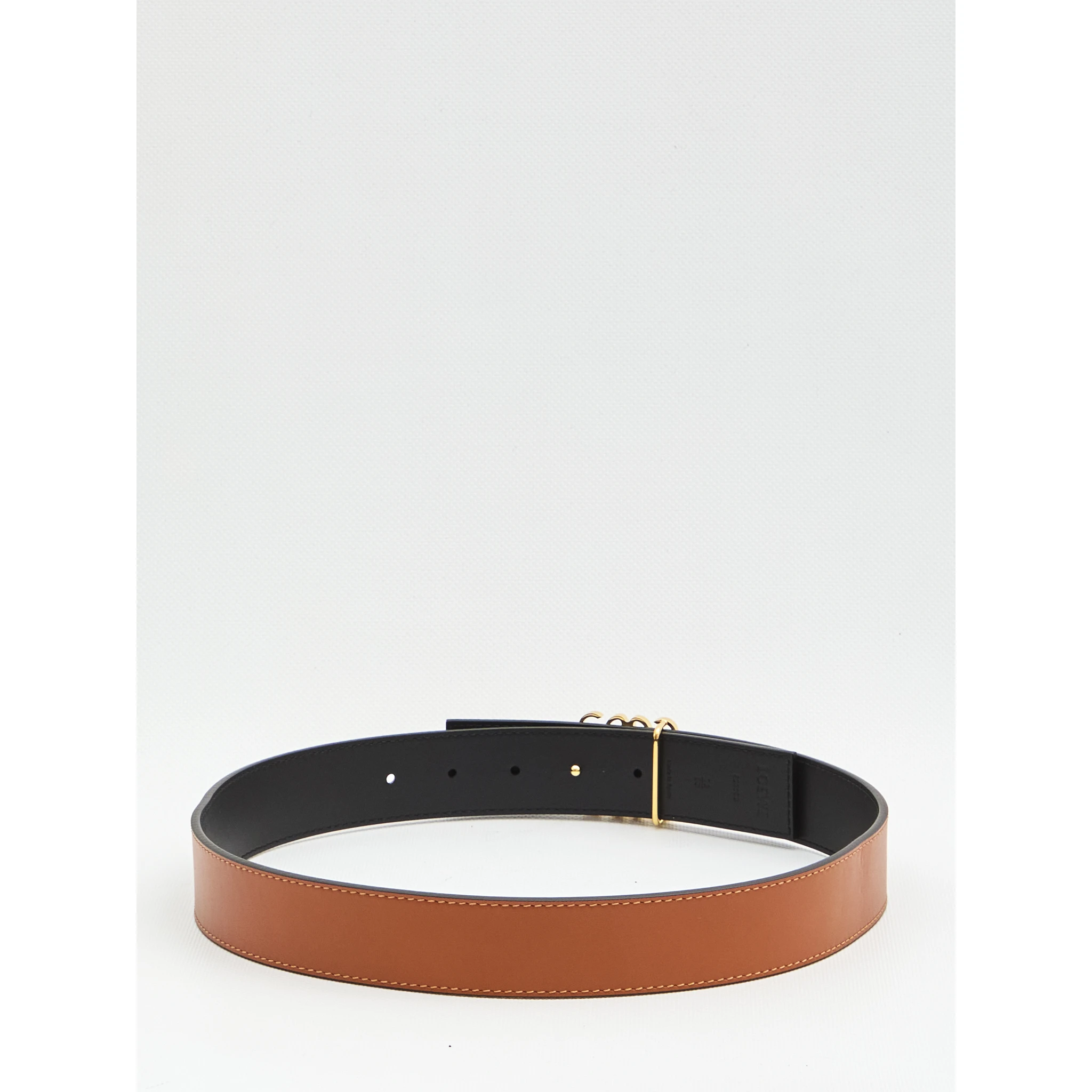 Reversible Anagram Belt