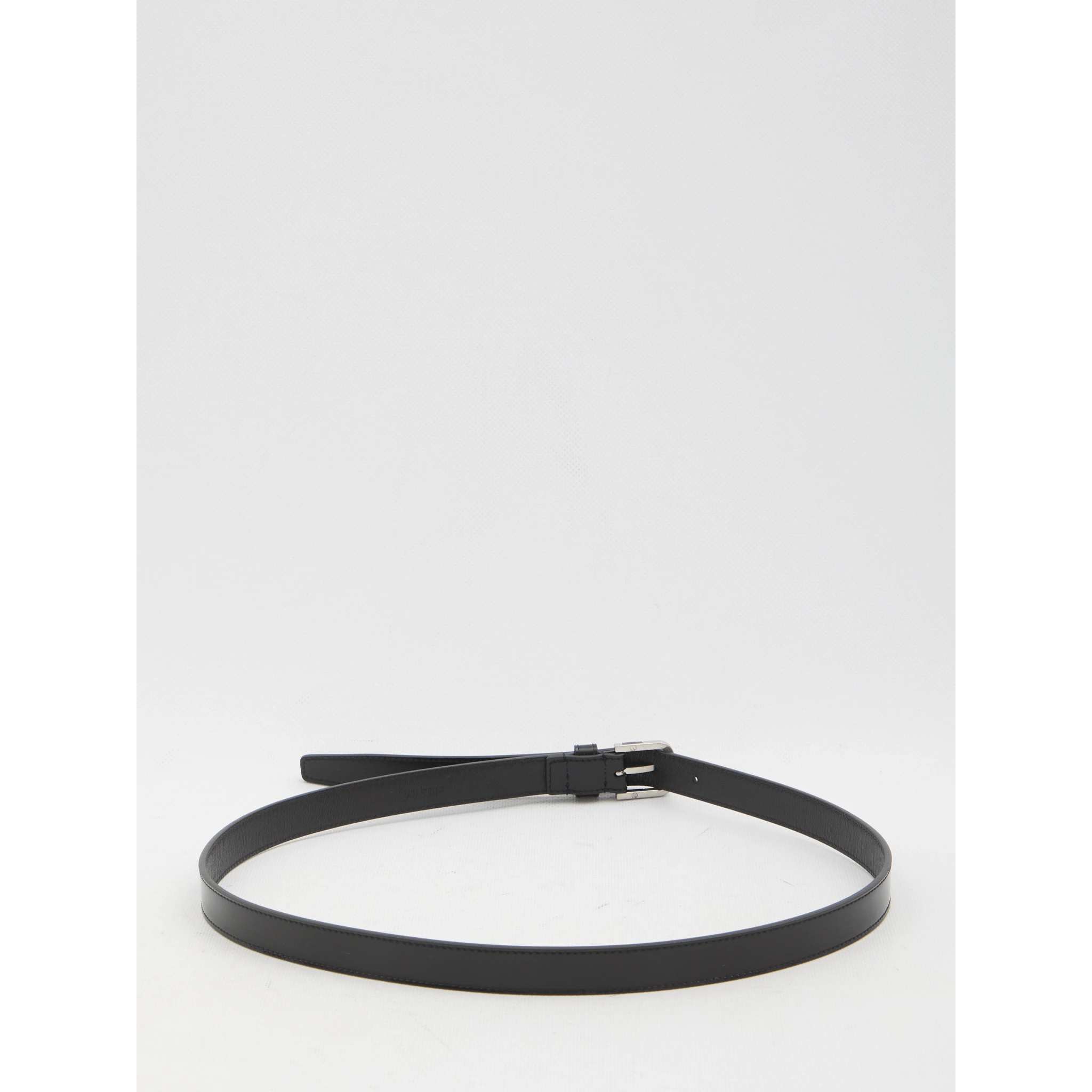 Belt with resin insert