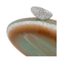 Benedetta Bruzziches Bags