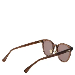 Brown Acetate Sunglasses