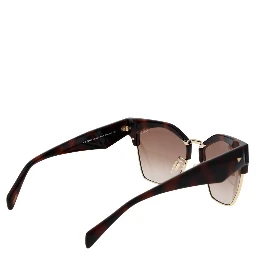 Brown Plastic Sunglasses