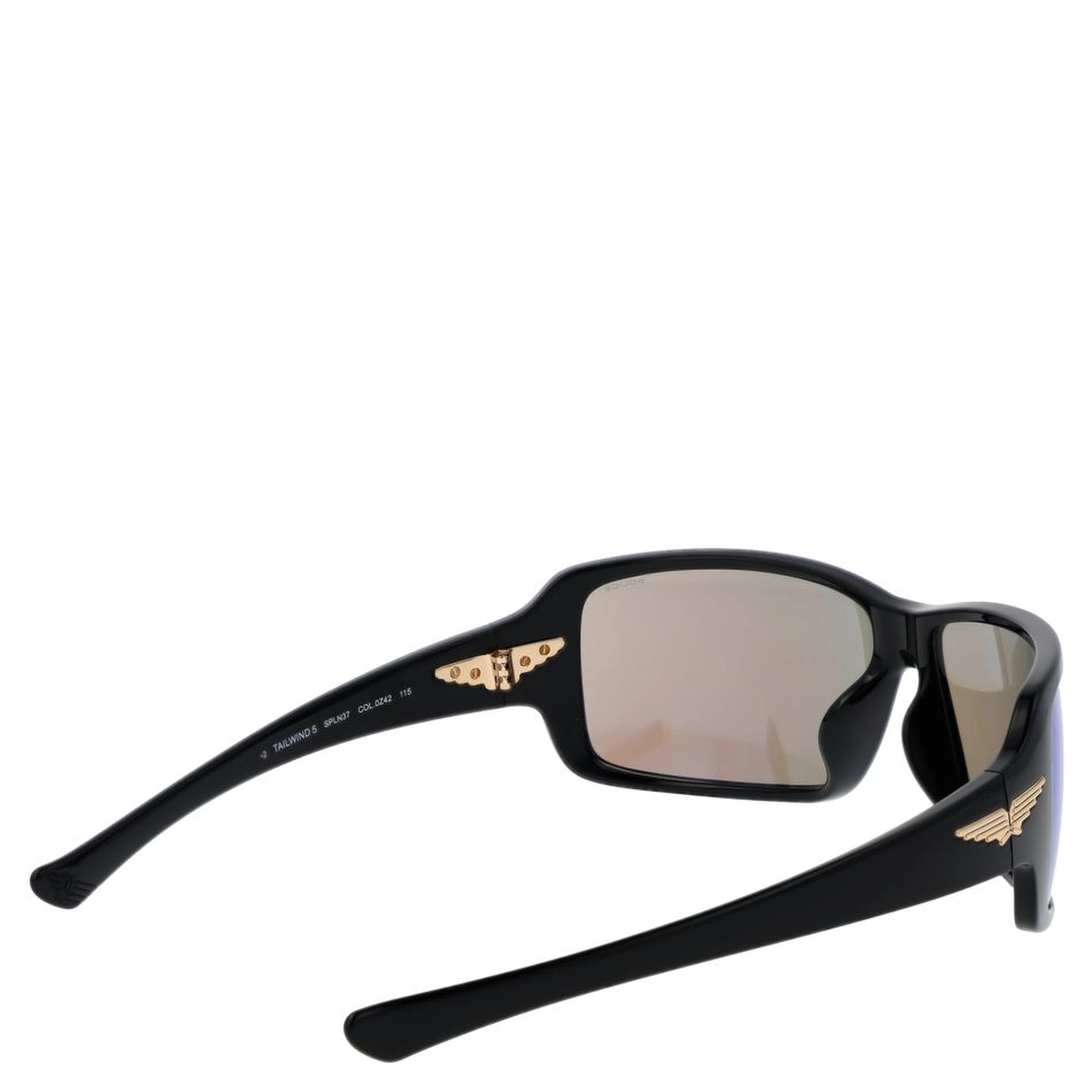 Black Plastic Sunglasses